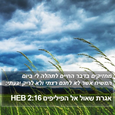 אגרת שאול אל הפיליפים 2:16 HEB Bible Verse Image
