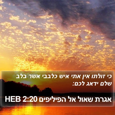 אגרת שאול אל הפיליפים 2:20 HEB Bible Verse Image