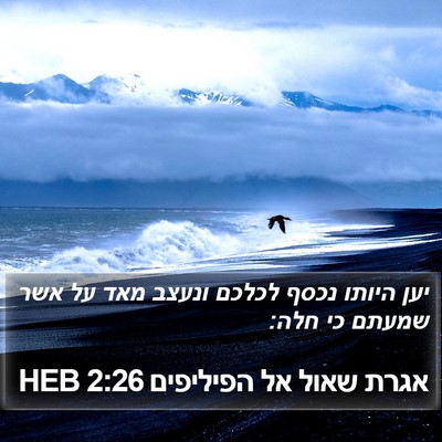 אגרת שאול אל הפיליפים 2:26 HEB Bible Verse Image