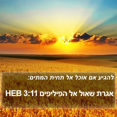 אגרת שאול אל הפיליפים 3:11 HEB Bible Verse Image