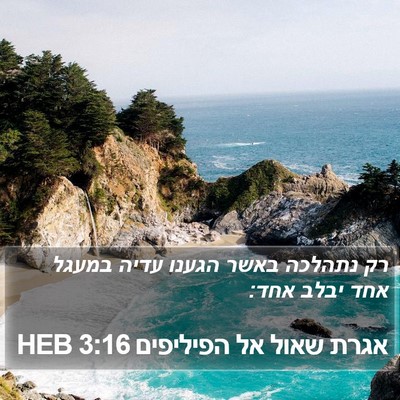 אגרת שאול אל הפיליפים 3:16 HEB Bible Verse Image