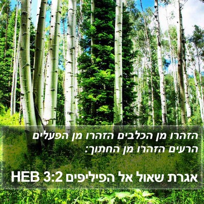 אגרת שאול אל הפיליפים 3:2 HEB Bible Verse Image