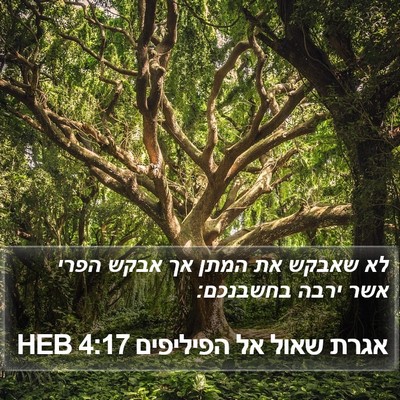 אגרת שאול אל הפיליפים 4:17 HEB Bible Verse Image