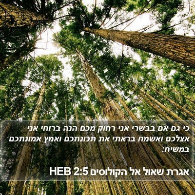 אגרת שאול אל הקולוסים 2:5 HEB Bible Verse Image