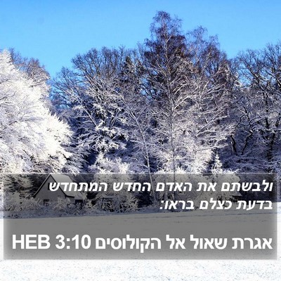 אגרת שאול אל הקולוסים 3:10 HEB Bible Verse Image