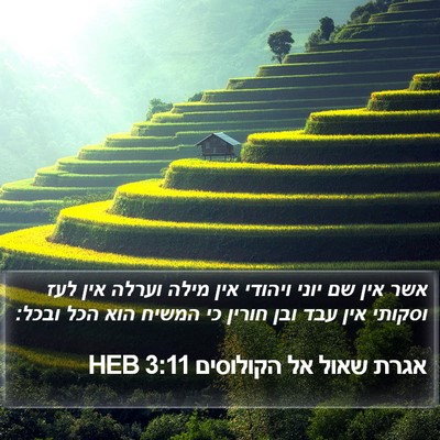 אגרת שאול אל הקולוסים 3:11 HEB Bible Verse Image