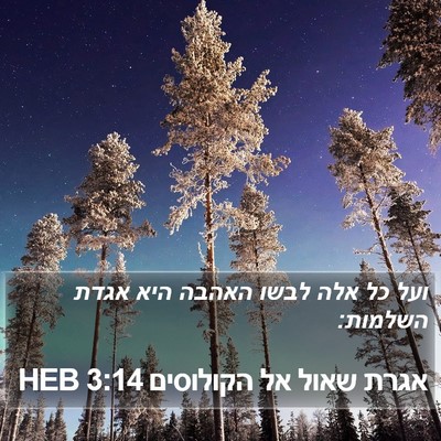 אגרת שאול אל הקולוסים 3:14 HEB Bible Verse Image