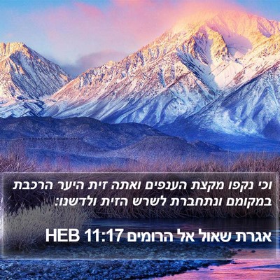 אגרת שאול אל הרומים 11:17 HEB Bible Verse Image