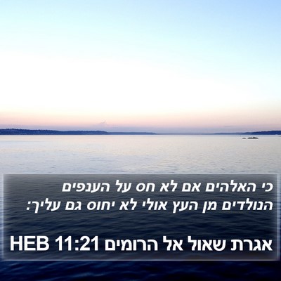 אגרת שאול אל הרומים 11:21 HEB Bible Verse Image