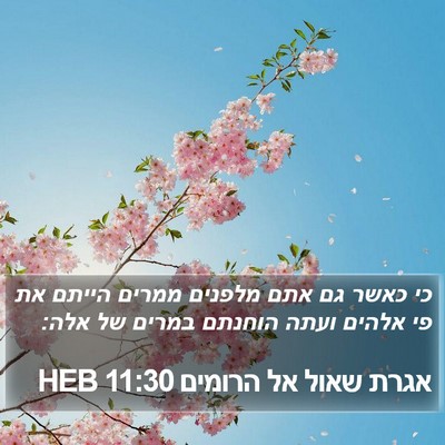 אגרת שאול אל הרומים 11:30 HEB Bible Verse Image