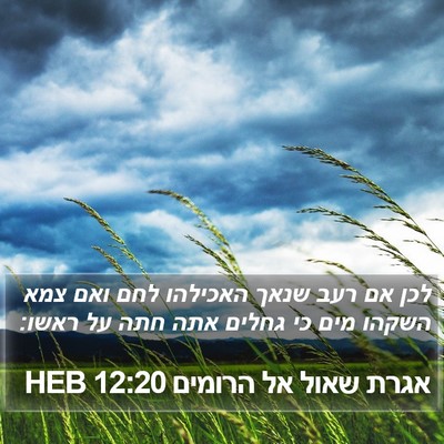 אגרת שאול אל הרומים 12:20 HEB Bible Verse Image