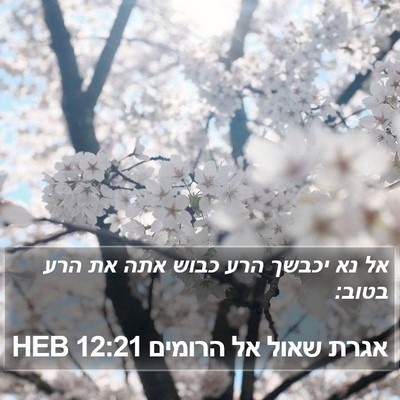 אגרת שאול אל הרומים 12:21 HEB Bible Verse Image