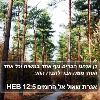אגרת שאול אל הרומים 12:5 HEB Bible Verse Image