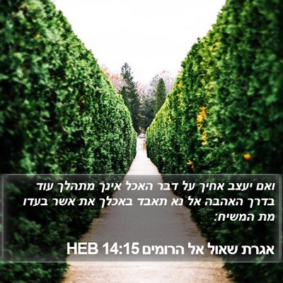 אגרת שאול אל הרומים 14:15 HEB Bible Verse Image