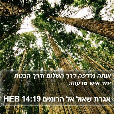 אגרת שאול אל הרומים 14:19 HEB Bible Verse Image