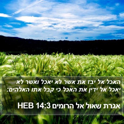 אגרת שאול אל הרומים 14:3 HEB Bible Verse Image