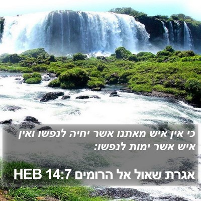 אגרת שאול אל הרומים 14:7 HEB Bible Verse Image