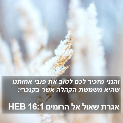 אגרת שאול אל הרומים 16:1 HEB Bible Verse Image
