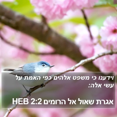 אגרת שאול אל הרומים 2:2 HEB Bible Verse Image
