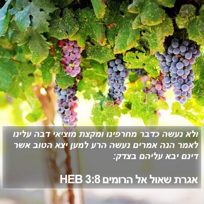 אגרת שאול אל הרומים 3:8 HEB Bible Verse Image