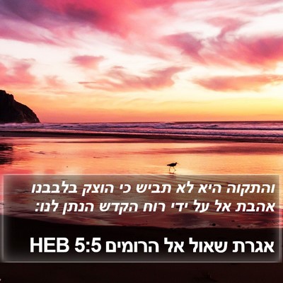 אגרת שאול אל הרומים 5:5 HEB Bible Verse Image