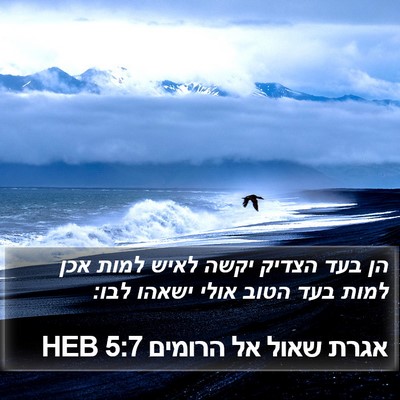 אגרת שאול אל הרומים 5:7 HEB Bible Verse Image