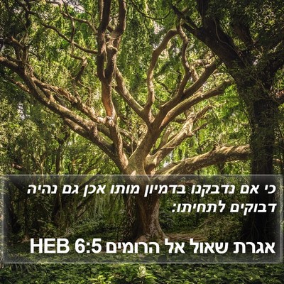 אגרת שאול אל הרומים 6:5 HEB Bible Verse Image