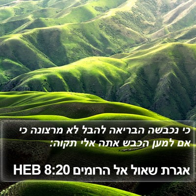 אגרת שאול אל הרומים 8:20 HEB Bible Verse Image