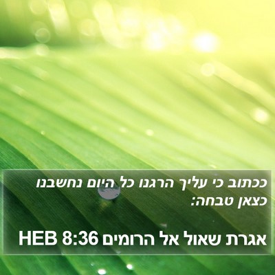 אגרת שאול אל הרומים 8:36 HEB Bible Verse Image