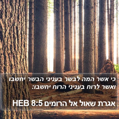 אגרת שאול אל הרומים 8:5 HEB Bible Verse Image