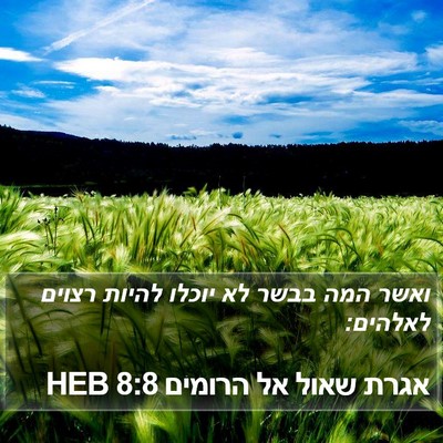 אגרת שאול אל הרומים 8:8 HEB Bible Verse Image