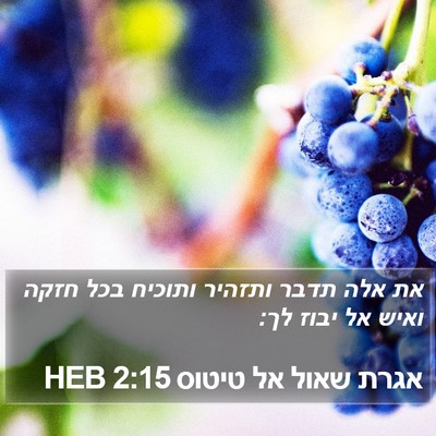 אגרת שאול אל טיטוס 2:15 HEB Bible Verse Image