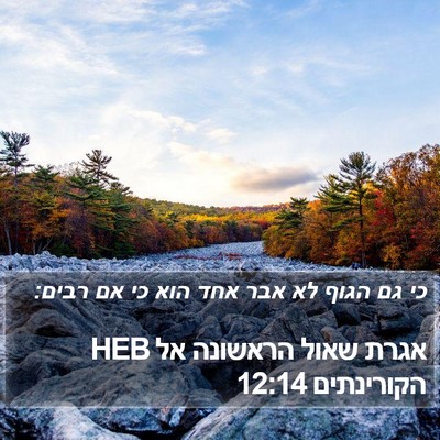 אגרת שאול הראשונה אל הקורינתים 12:14 HEB Bible Verse Image