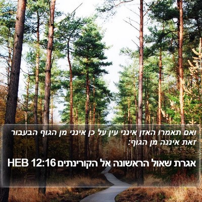 אגרת שאול הראשונה אל הקורינתים 12:16 HEB Bible Verse Image