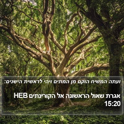 אגרת שאול הראשונה אל הקורינתים 15:20 HEB Bible Verse Image