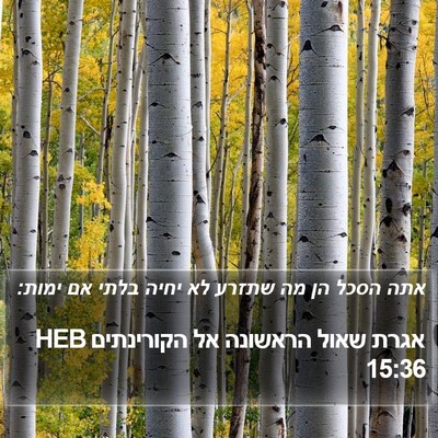 אגרת שאול הראשונה אל הקורינתים 15:36 HEB Bible Verse Image