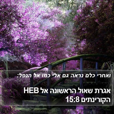 אגרת שאול הראשונה אל הקורינתים 15:8 HEB Bible Verse Image