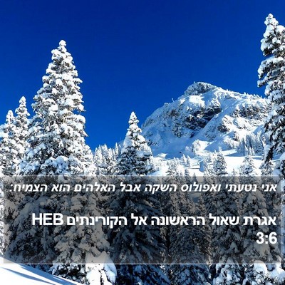 אגרת שאול הראשונה אל הקורינתים 3:6 HEB Bible Verse Image