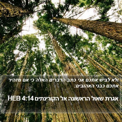 אגרת שאול הראשונה אל הקורינתים 4:14 HEB Bible Verse Image