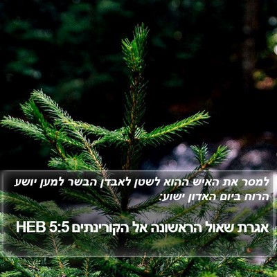 אגרת שאול הראשונה אל הקורינתים 5:5 HEB Bible Verse Image