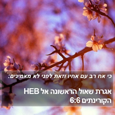 אגרת שאול הראשונה אל הקורינתים 6:6 HEB Bible Verse Image