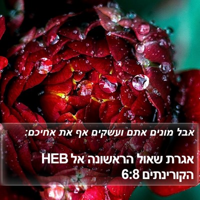 אגרת שאול הראשונה אל הקורינתים 6:8 HEB Bible Verse Image