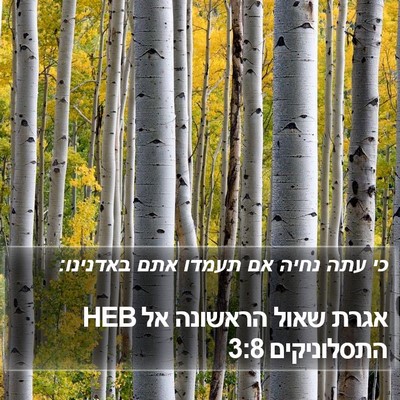 אגרת שאול הראשונה אל התסלוניקים 3:8 HEB Bible Verse Image