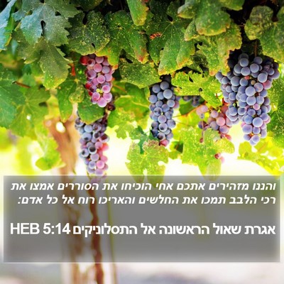 אגרת שאול הראשונה אל התסלוניקים 5:14 HEB Bible Verse Image