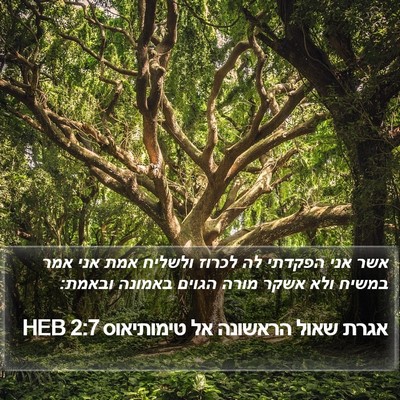 אגרת שאול הראשונה אל טימותיאוס 2:7 HEB Bible Verse Image