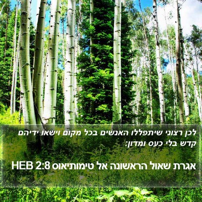 אגרת שאול הראשונה אל טימותיאוס 2:8 HEB Bible Verse Image