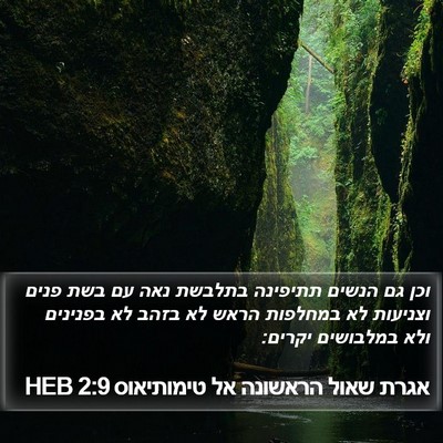 אגרת שאול הראשונה אל טימותיאוס 2:9 HEB Bible Verse Image