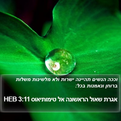 אגרת שאול הראשונה אל טימותיאוס 3:11 HEB Bible Verse Image