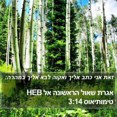 אגרת שאול הראשונה אל טימותיאוס 3:14 HEB Bible Verse Image