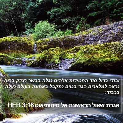 אגרת שאול הראשונה אל טימותיאוס 3:16 HEB Bible Verse Image